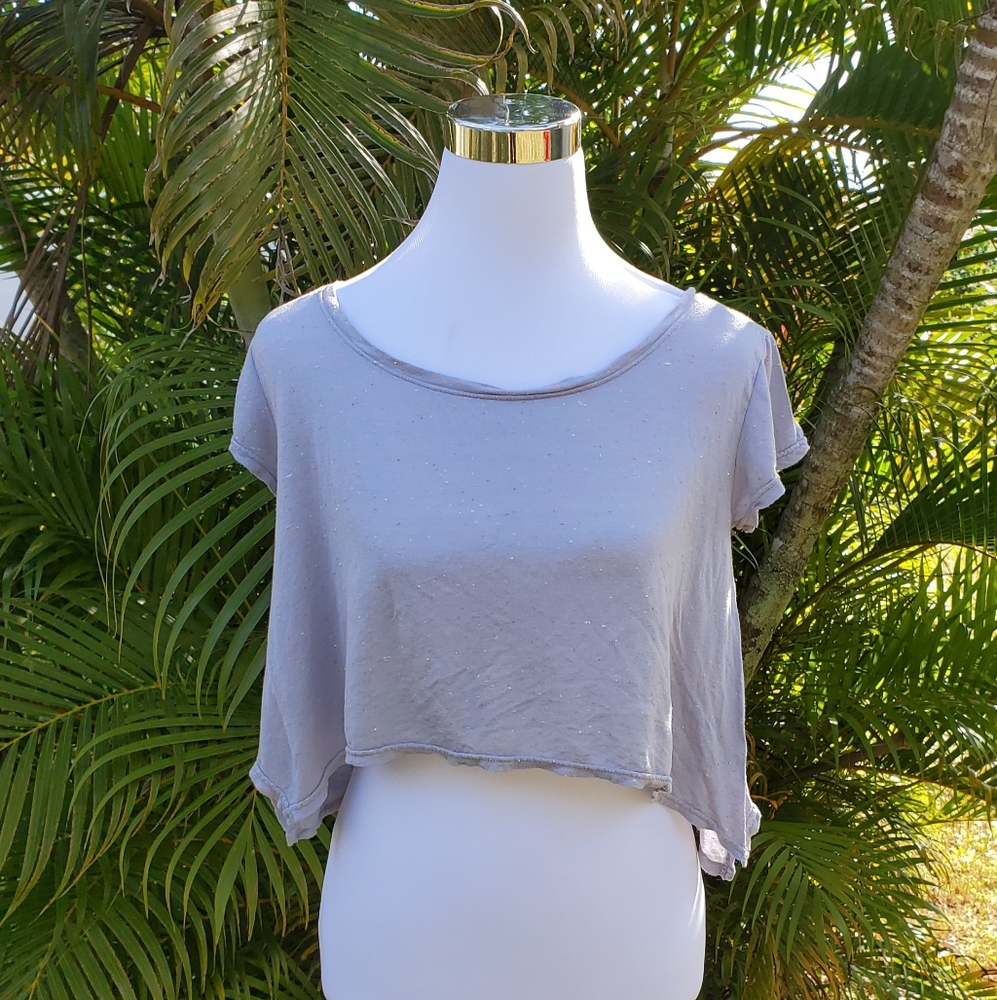Actra fitness crop top